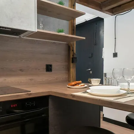 Tasteful Close To Piotrkowska Street By Renters