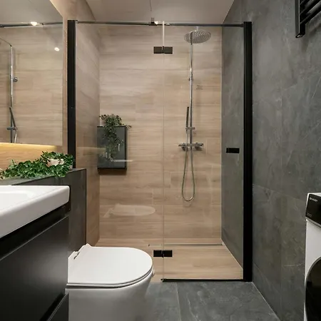 Tasteful Close To Piotrkowska Street By Renters
